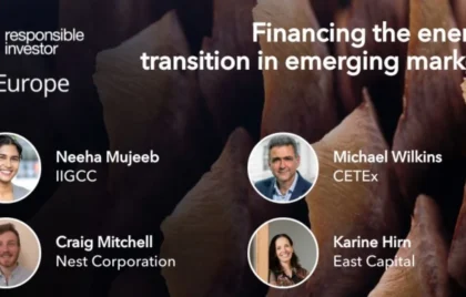 Emerging Market RI