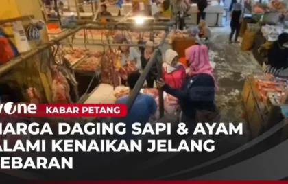 harga daging sapi ayam