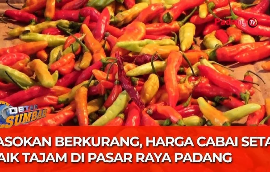 pasokan cabai merah
